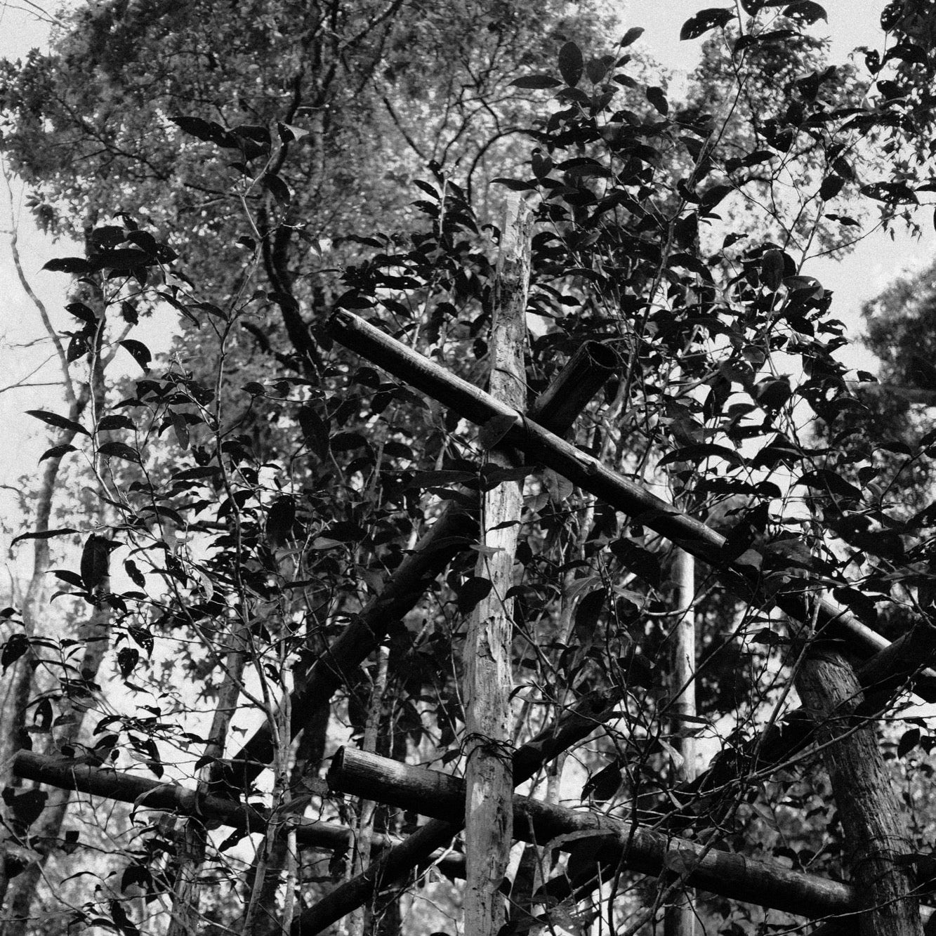 Esprit de Corp: 2026 Membership