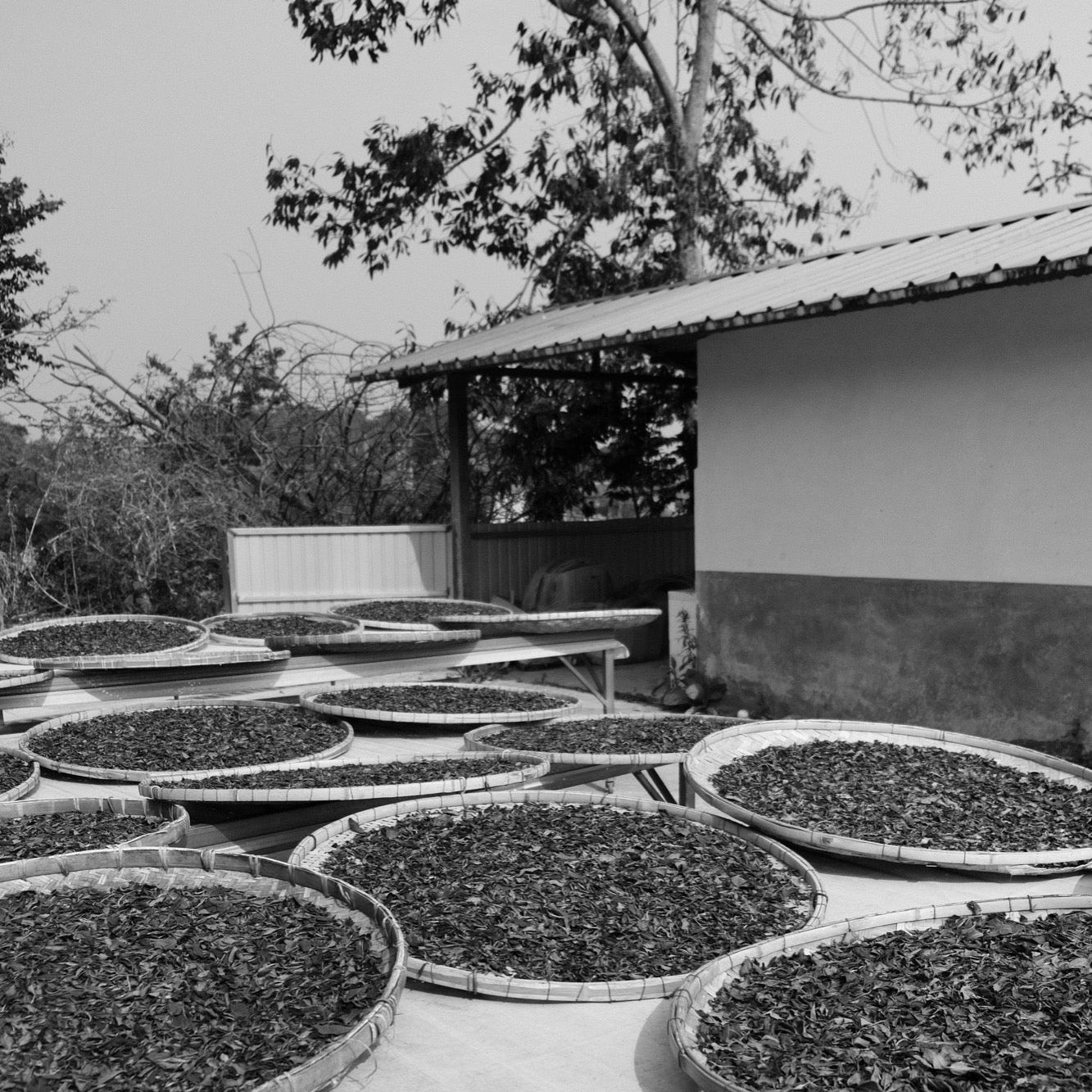 Esprit de Corp: 2026 Membership