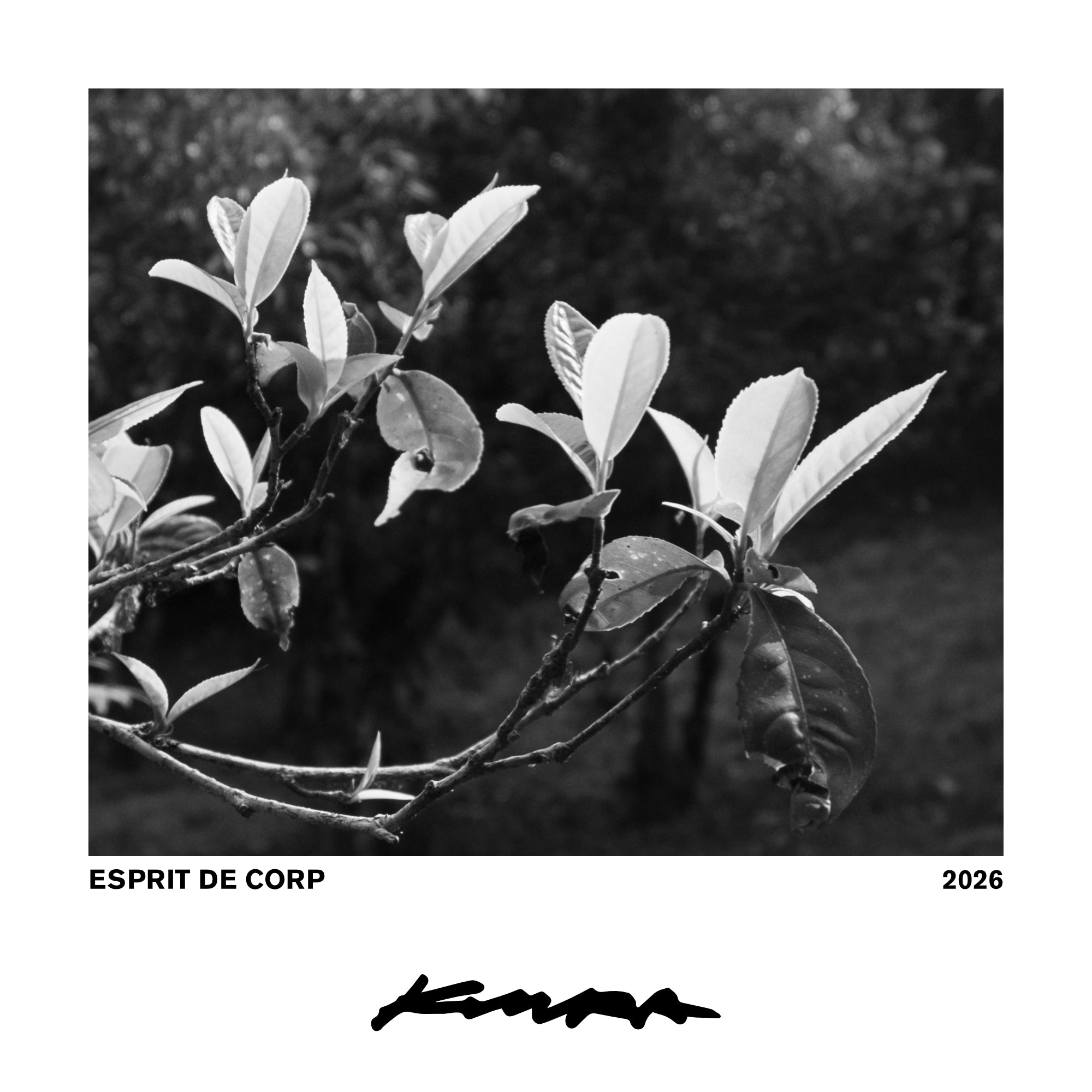 Esprit de Corp: 2026 Membership