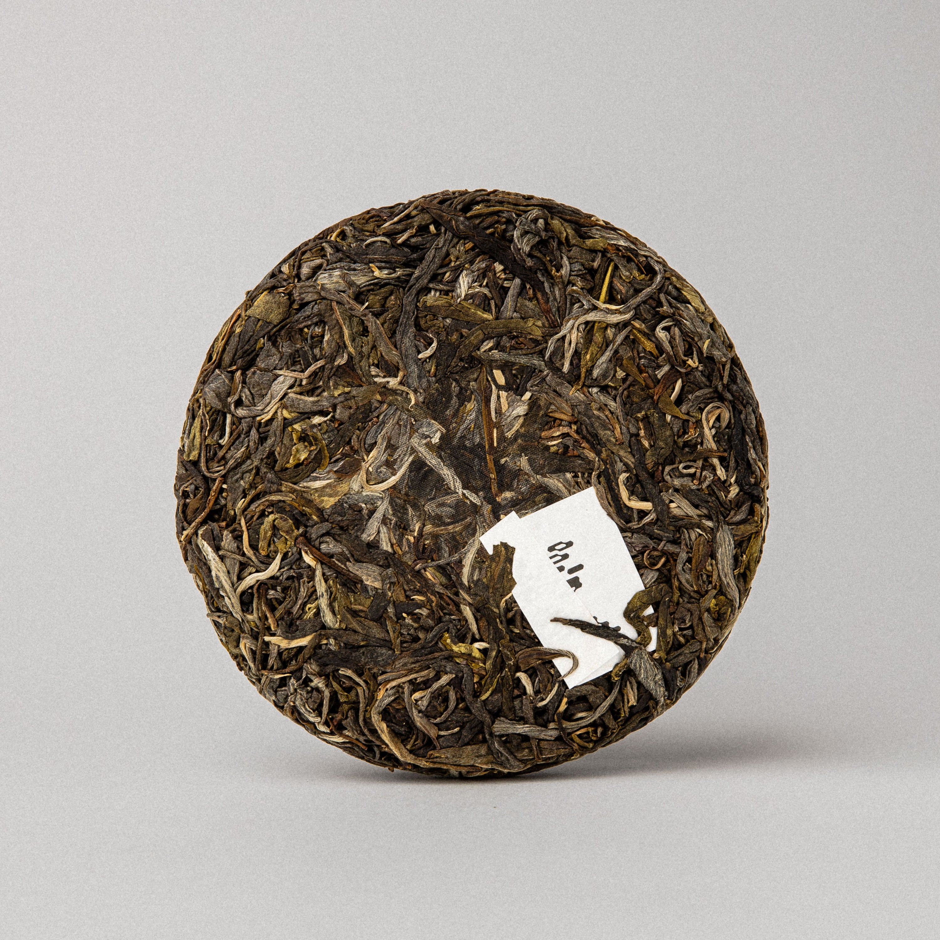 Esprit de Corp: 2026 Membership