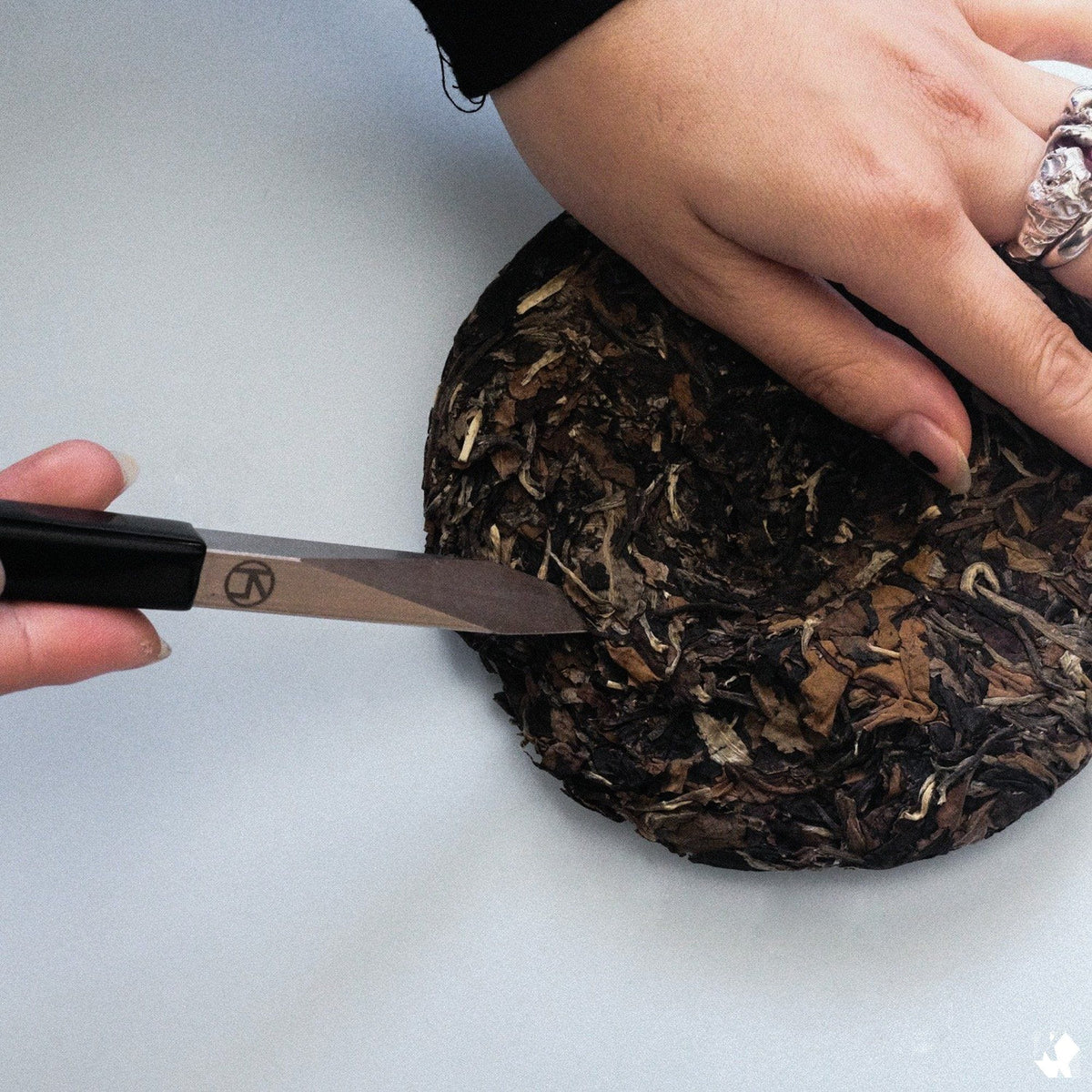 Tea Knife - Pu-Erh Cake-Breaking Tea Pick - KUURACORP